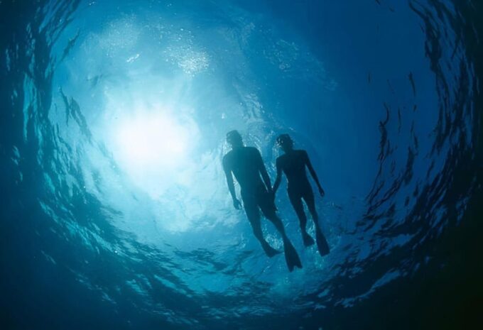Da Nang: Son Tra Peninsula Exploration - Snorkeling, Fishing - Customer Feedback