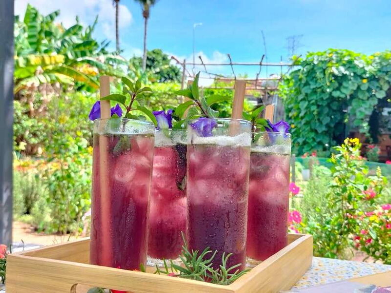 Da Nang Vegetarian Cooking and Coffee Class - Key Points