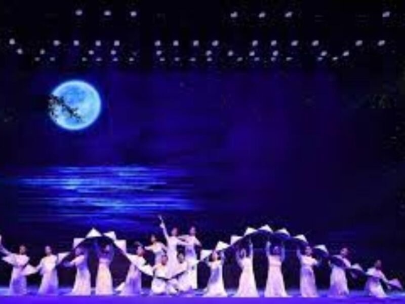 Da Nang: Vietnam Culture Fusion Combo + Charming Show - Key Points