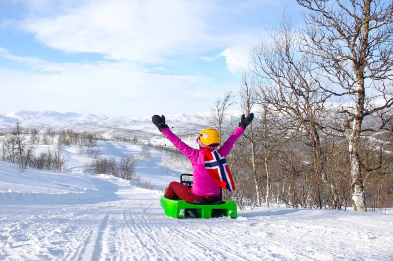 Dagali: 2-Hour Racing Toboggan Adventure - Safety and Requirements