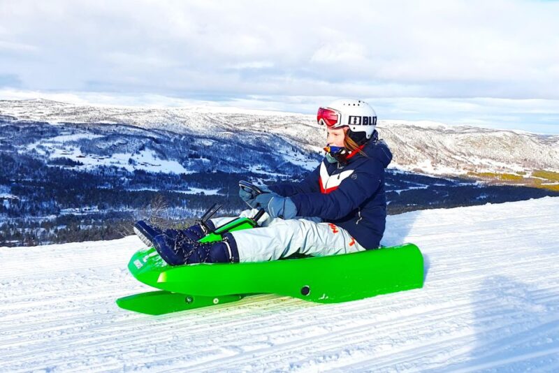 Dagali: 2-Hour Racing Toboggan Adventure - Customer Feedback