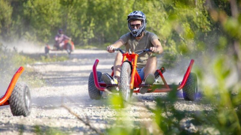 Dagali: Mountain Cart Racing Adventure - Pricing and Reservations