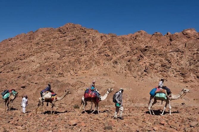 Dahab Blue Hole and Towailat Mountain - Questions About Your Stay