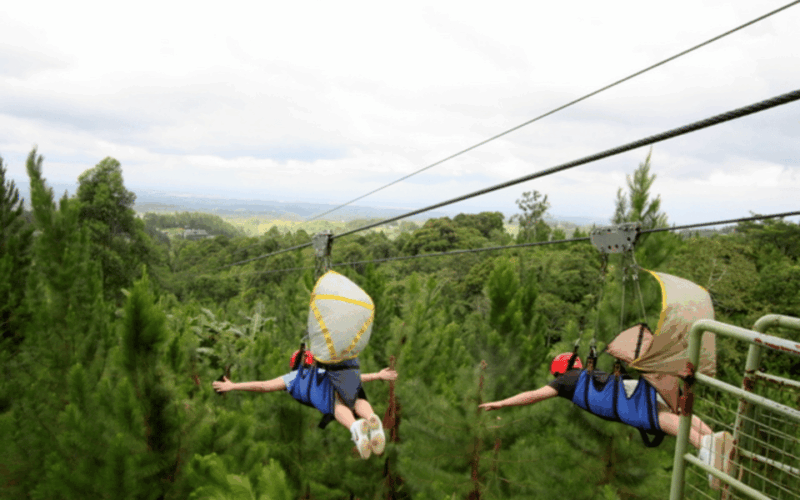 Dahilayan - Asia's Longest Dual Zipline (Private Tour) - Inclusions