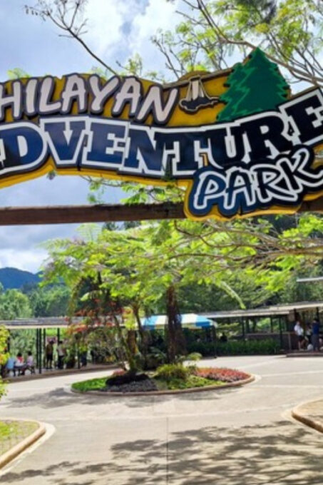 Dahilayan - Asia's Longest Dual Zipline (Private Tour) - Dual Zipline Experience