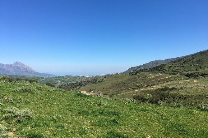 Daily Biking in the Rural Sicily - Cancellation and Booking Policies