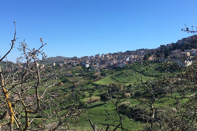 Daily Biking in the Rural Sicily - Exploring the Countryside