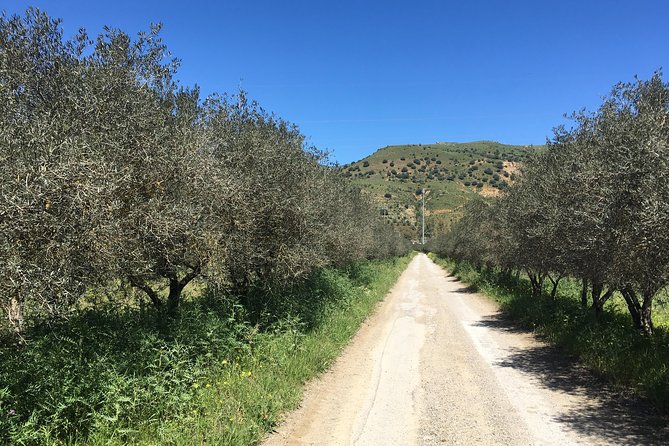 Daily Biking in the Rural Sicily - Benefits of Biking