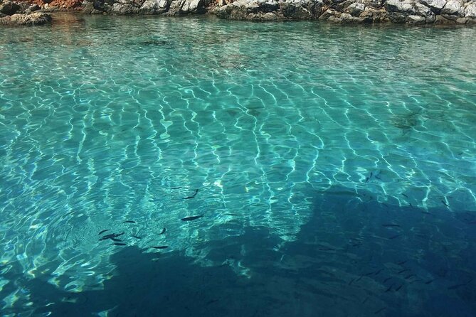 Daily Boat Trip in Bodrum With Lunch - Included in the Trip