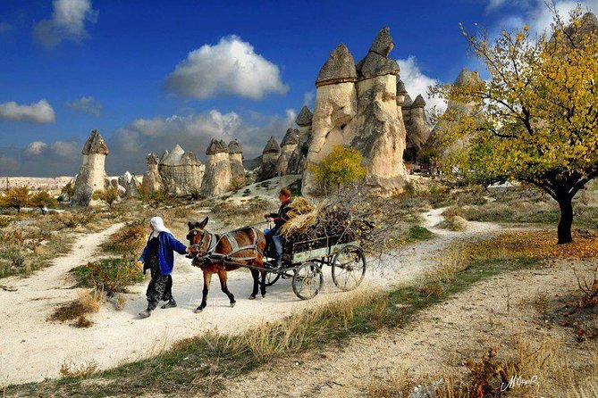 Daily Cappadocia Tour From Istanbul - Inclusions