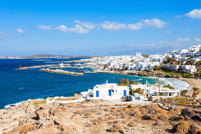 Daily Cruise From Paros to Delos Mykonos - Confirmation and Accessibility