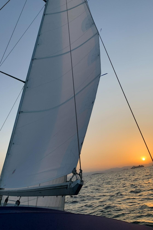 Daily Cruise in Athenian Riviera - Experience Highlights