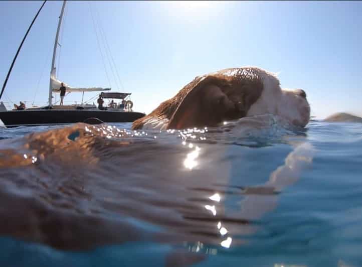 Daily Cruise in Athenian Riviera - Amenities and Inclusions