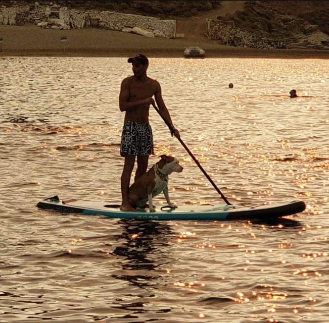 Daily Cruise in Athenian Riviera - Additional Information