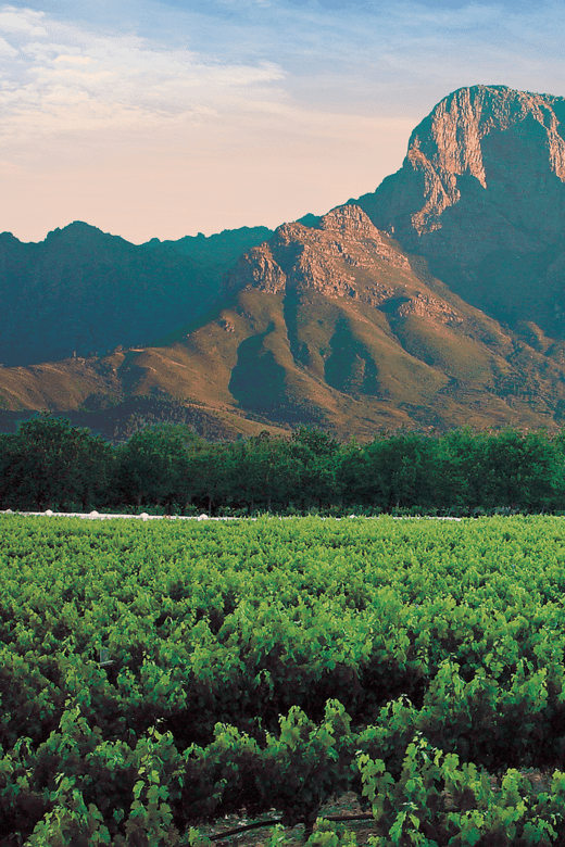 Daily Departures Franschhoek Tram Explorer Tour - Key Points