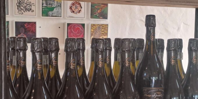 Daily Departures Franschhoek Tram Explorer Tour - Wine Tasting Opportunities