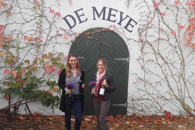 Daily Different Small Group WINE Tour - STELLENBOSCH PICKUP Only - Personalized Attention