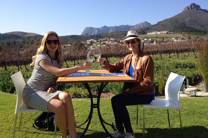 Daily Different Small Group WINE Tour - STELLENBOSCH PICKUP Only - Knowledgeable Guide