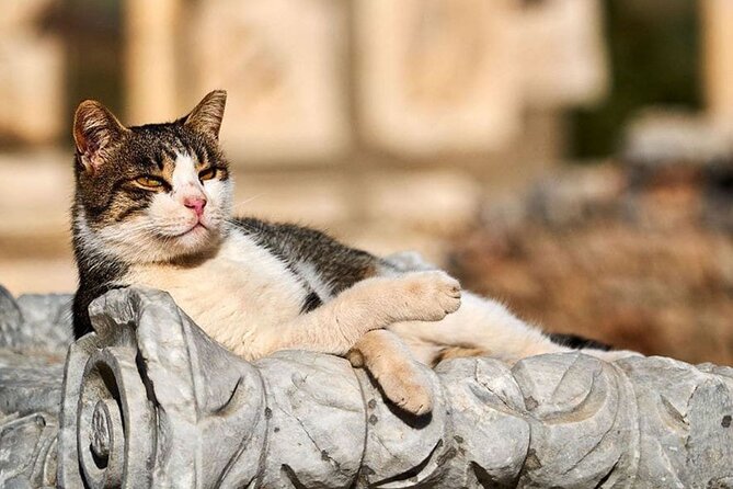 Daily Ephesus and Virgin Mary House Tour With Lunch Included - Inclusions