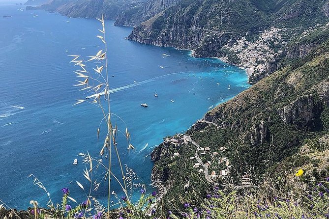 Daily Excursion Full Day 8 Hours ( Amalfi Ravello Pompei) - Inclusions and Logistics