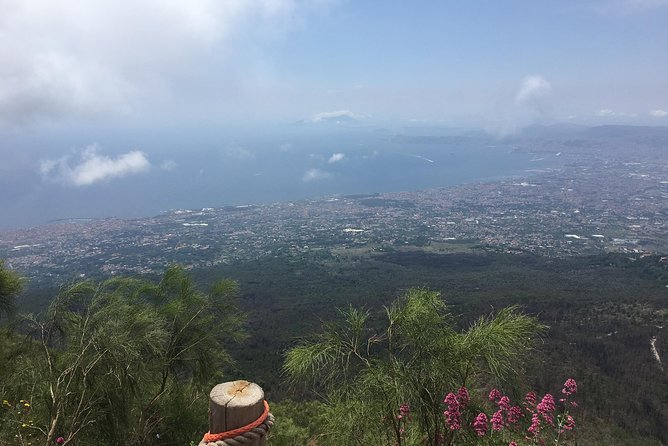 Daily Excursion Full Day 8 Hours ( Vesuvio Pompei) - Detailed Itinerary