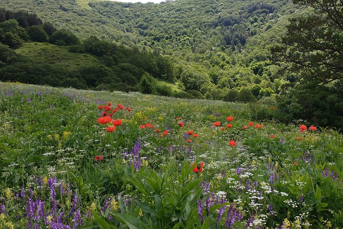 Daily Jeep Tour in Teghenyats Mountains - Additional Information