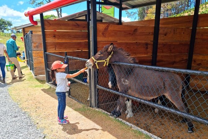 Daily Pass to Eco Park of Cerro La Cruz in Boquete - Key Points