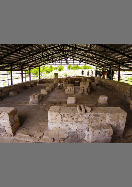 DAILY PRIVATE BLUE TOUR (SOĞANLI) - Accessibility and Language