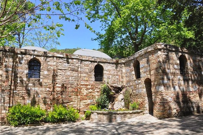 Daily Private Ephesus Tour From Istanbul By Flight - Accessibility