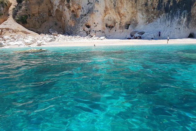 Daily Sailing Trip in the Orosei Coves With Lunch - Accessibility