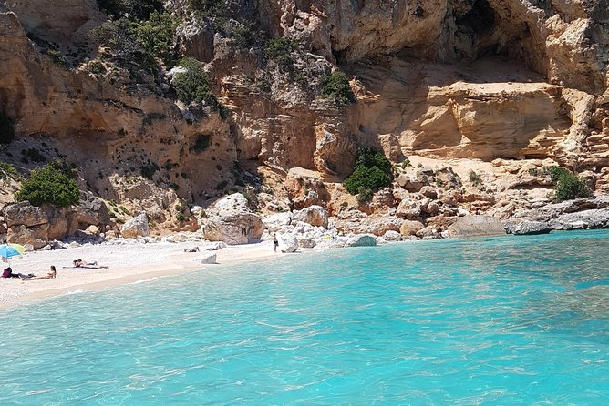 Daily Sailing Trip in the Orosei Coves With Lunch - Negative Feedback
