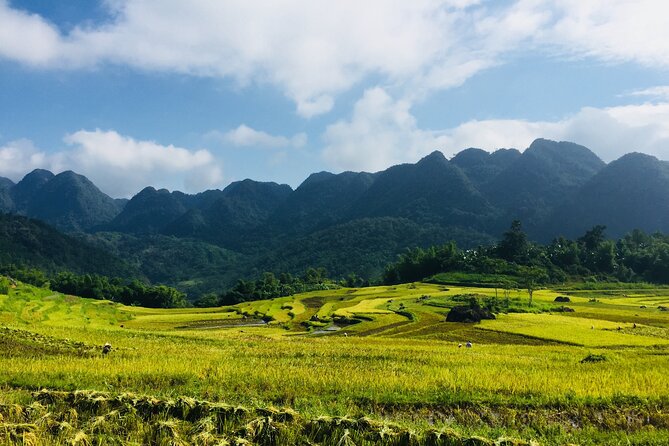 Daily Shuttle Bus Transfer Hanoi to Pu Luong or Return - Pricing and Cancellation