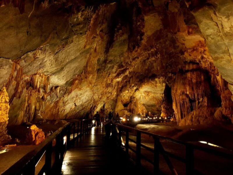 Daily Tour - Paradise Cave & Explore Phong Nha Cave by Boat - Wildlife Rescue Center