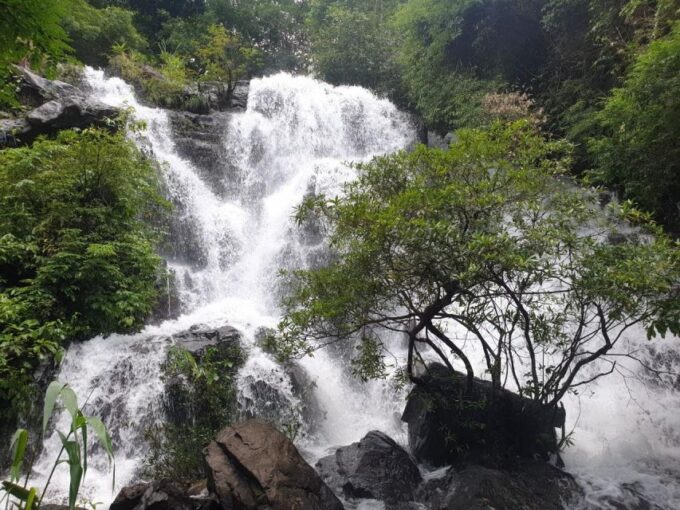 Daily Tour - Paradise Cave & Explore Phong Nha Cave by Boat - Returning to Accommodation
