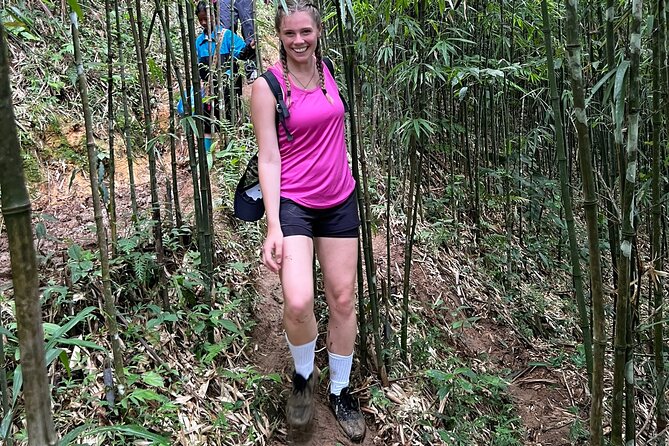 Daily Tour: Sapa Trekking in Muong Hoa Valley, Bamboo Forest - Included in the Tour