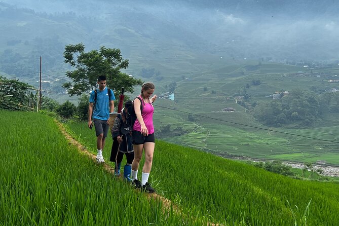 Daily Tour: Sapa Trekking in Muong Hoa Valley, Bamboo Forest - Meeting and Pickup Details