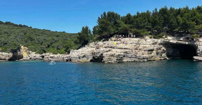 Daily Tour With Swimming - Inclusions