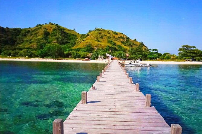 Daily Trip Highlight Komodo Archipelago by Speed Boat - Reviews and Feedback