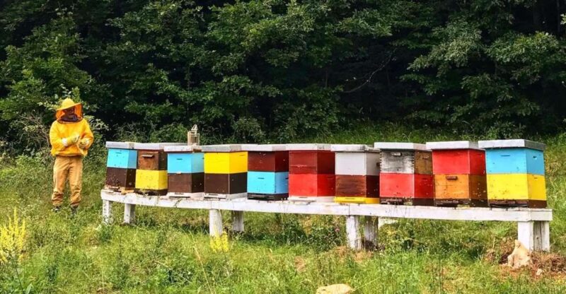 Daily Visit to a Family Farm in Donji Lapac, Lika - Itinerary Details