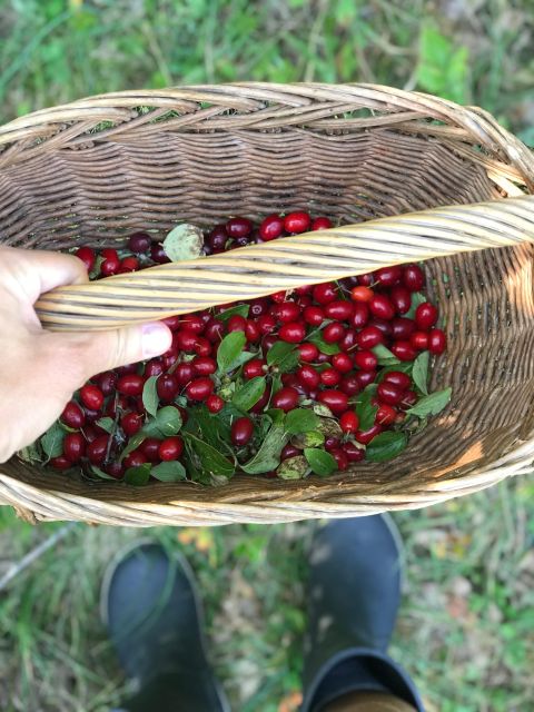 Daily Visit to a Family Farm in Donji Lapac, Lika - Booking and Cancellation