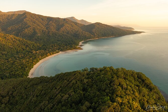 Daintree Ancient Giants Easy Rainforest Hike, Beach, Swim & Lunch - Lunch and Dietary Options