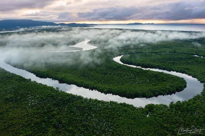 Daintree Ancient Giants Easy Rainforest Hike, Beach, Swim & Lunch - Daintree Rainforest Hike