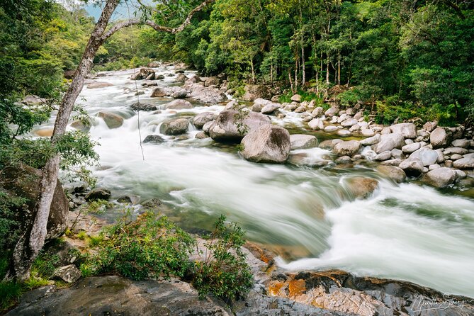 Daintree Ancient Giants Easy Rainforest Hike, Beach, Swim & Lunch - Scenic Beach Visit