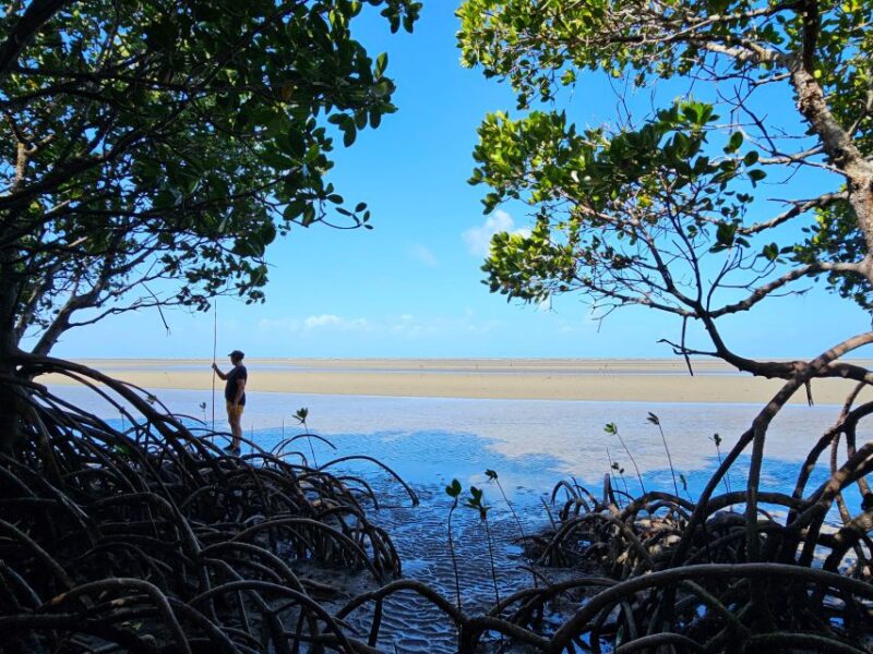 Daintree, Crocodile Cruise, Aboriginal Beach & Fishing Tour - Key Points