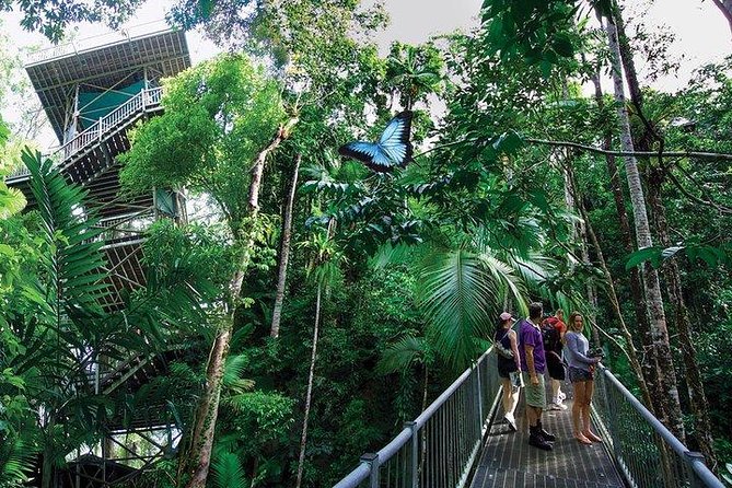 Daintree Discovery Centre Family Pass Ticket - Childrens Activities