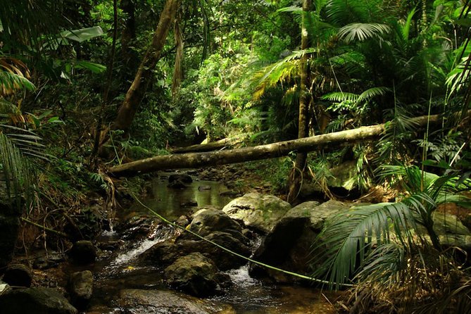 Daintree Discovery Centre Single Pass - Accessibility