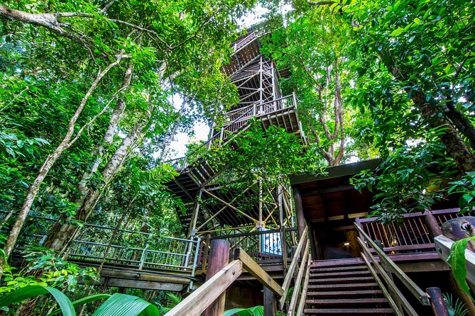 Daintree Discovery Centre Single Pass - Pricing and Guarantee