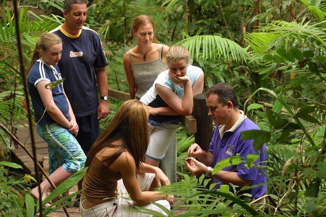 Daintree Discovery Centre Single Pass - Ecosystems Explored