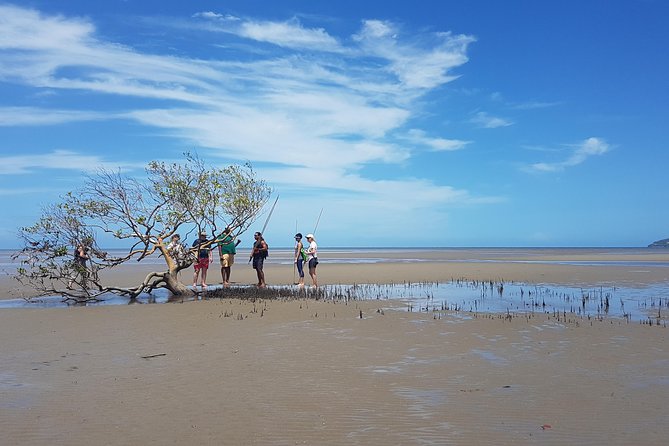 Daintree Dreaming Traditional Aboriginal Fishing From Cairns or Port Douglas - Itinerary Details