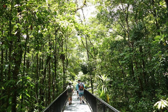 Daintree Dreaming Traditional Aboriginal Fishing From Cairns or Port Douglas - Coastal and Cultural Walk